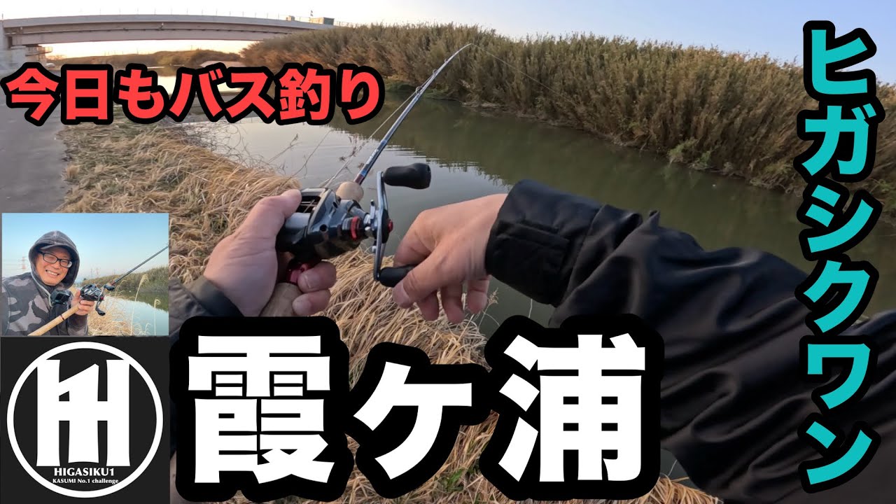 バス釣り霞ヶ浦！正直アラバマで釣る人は何使っても上手いです。2026年3月25日
