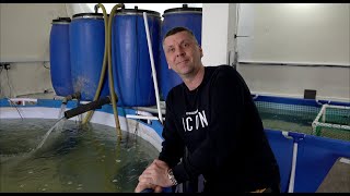 видео: Разводня скатов Михаила Мегерина картинка: Разводня скатов Михаила Мегерина