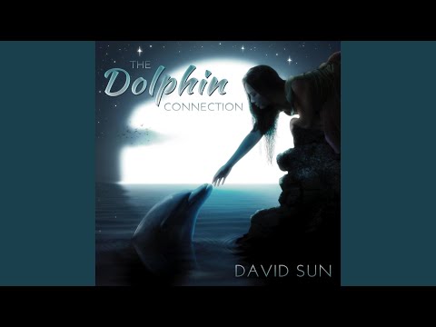 The Dolphin Connection, Pt. 1