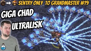 How many Sentries to beat an Ultralisk?! | Sentry Only to Grandmaster #19 StarCraft 2