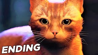 STRAY PS5 ENDING / FINAL CHAPTER Gameplay Commentary Part 11 (FULL GAME)