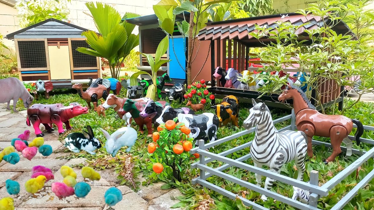 Wadidaw ‼️ Proses Potong Sapi Lucu Kambing & Kerbau | Proses Melahirkan Cesar Sapi , Gajah & Unta