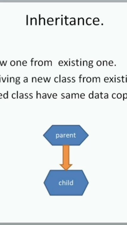 Mastering Object-Oriented Programming: Unraveling the Essence of OOP ...