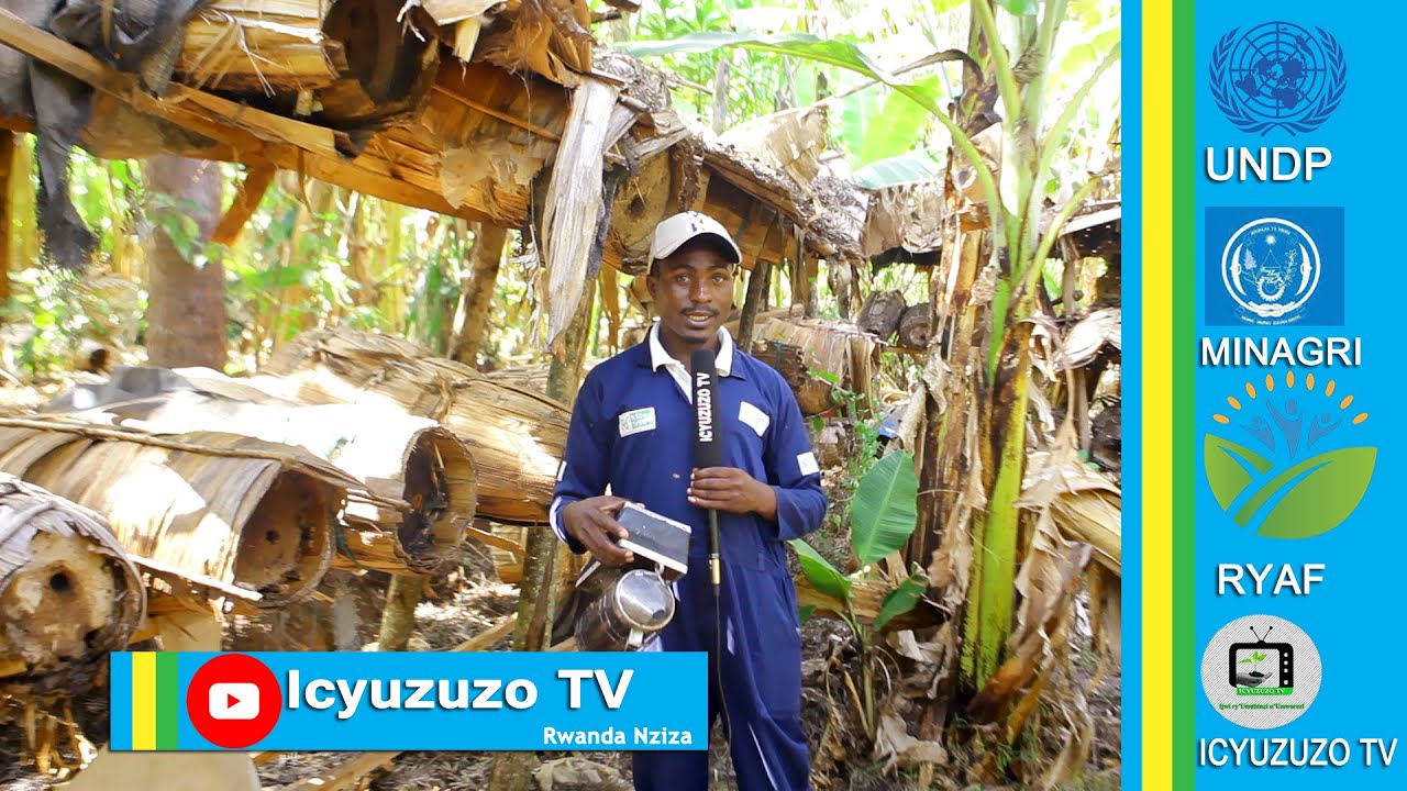 Nyagatare:Vincent ni umusore umaze imyaka6 mu buvumvu afit'imizinga irenga150 imwinjiriza agatubutse