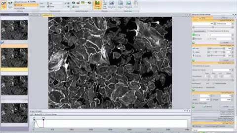 Q Capture Pro 7: Monochrome cameras
