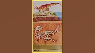 How fossils form?#shorts#fossil#dinosaur#prehistoric