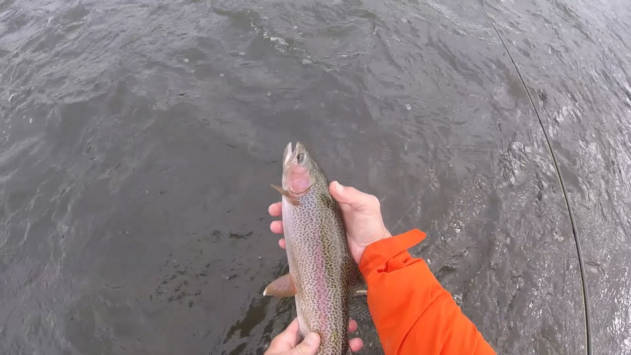 HAPPY THANKSGIVING FLYFISHING THE DELAWARE, Nov. 2020 ...