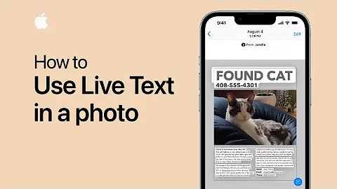 How to use Live Text in a photo on iPhone and iPad | Apple Support