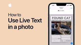 How to use Live Text in a photo on iPhone and iPad | Apple Support screenshot 5