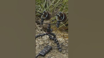 Oaka Instruments Field Recording Microphone Test