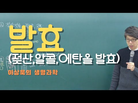 발효 (젖산, 알콜, 아세트산 발효) _이상욱의 생명과학/ 발효 한 번에 끝내기