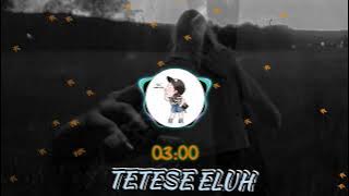 MP3 // TETESE ELUH COVER BY NADYA JESSICA