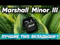 Marshall Minor 3 - эти наушники ЛУЧШЕ любых AirPods! Лучший Звук из Беспроводных Вкладышей  ?