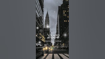 محمد رسول الله والذين معه اشداء على الكفار رحماء بينهم || سورة الفتح || ياسر الدوسري