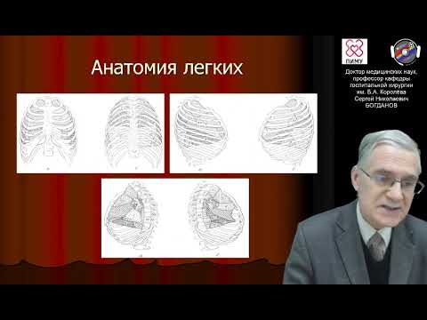Гнойные заболевания легких и плевры. Демо-версия