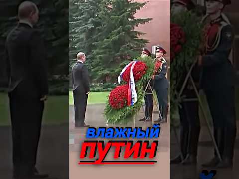 ВЛАЖНЫЙ #путин #мем #гумор #приколы #лол #москва #россия #новости #сегодня #украина #путін #shorts