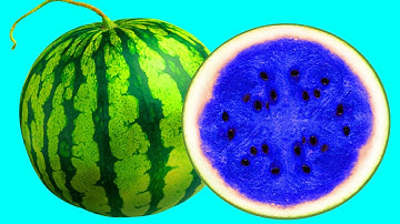 Hidden Patterns Inside Fruits, Vegetables stop-motion
