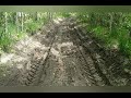 #81    30 июля 2021 г.йети. снежный человек. леший . Bigfoot