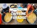 Coffee Tour In Thailand | Chiang Mai Province