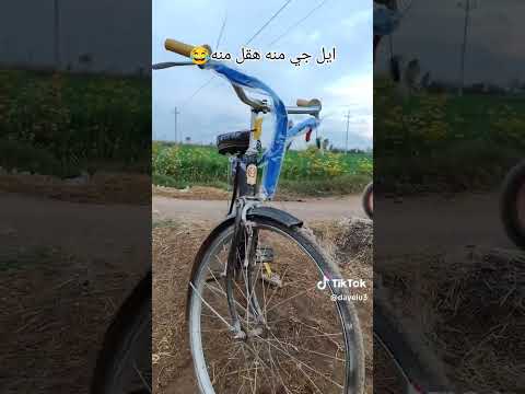 ٤ يوليو ٢٠٢٥