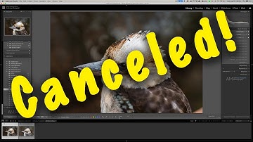 What Happens to my Pictures if I CANCEL My Lightroom SUBSCRIPTION?