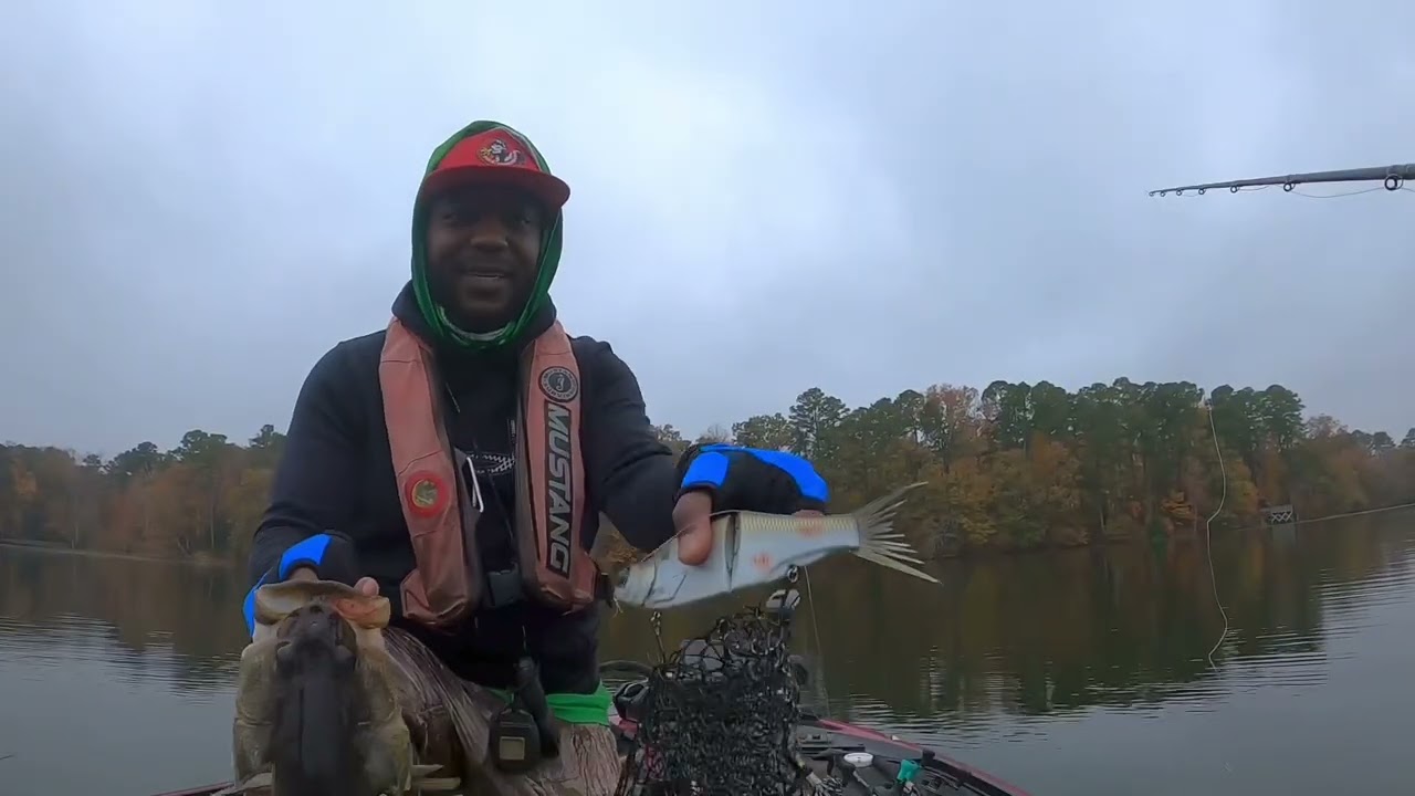 New big glide bait becoming my fav in bass fishing