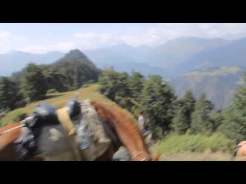 დიკლოს უღელტეხილი ცხენებით