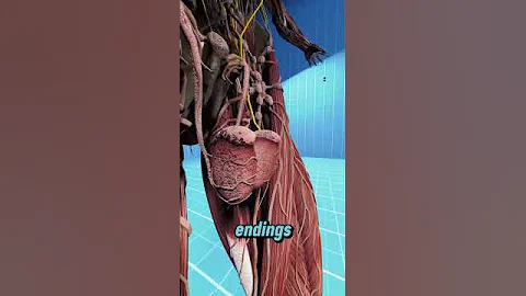 Why Getting Hit Down There Hurts So Much #pain #kungfu #shots