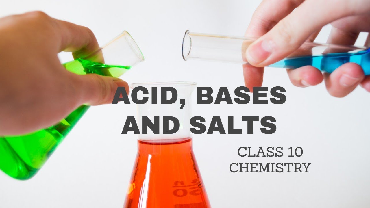 assignment on acids bases and salts