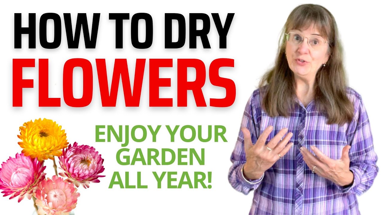 how-to-dry-flowers-beginners-guide-youtube