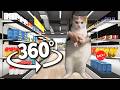 360° Cat Dancing To EDM - Supermarket | 4K VR 360 Video