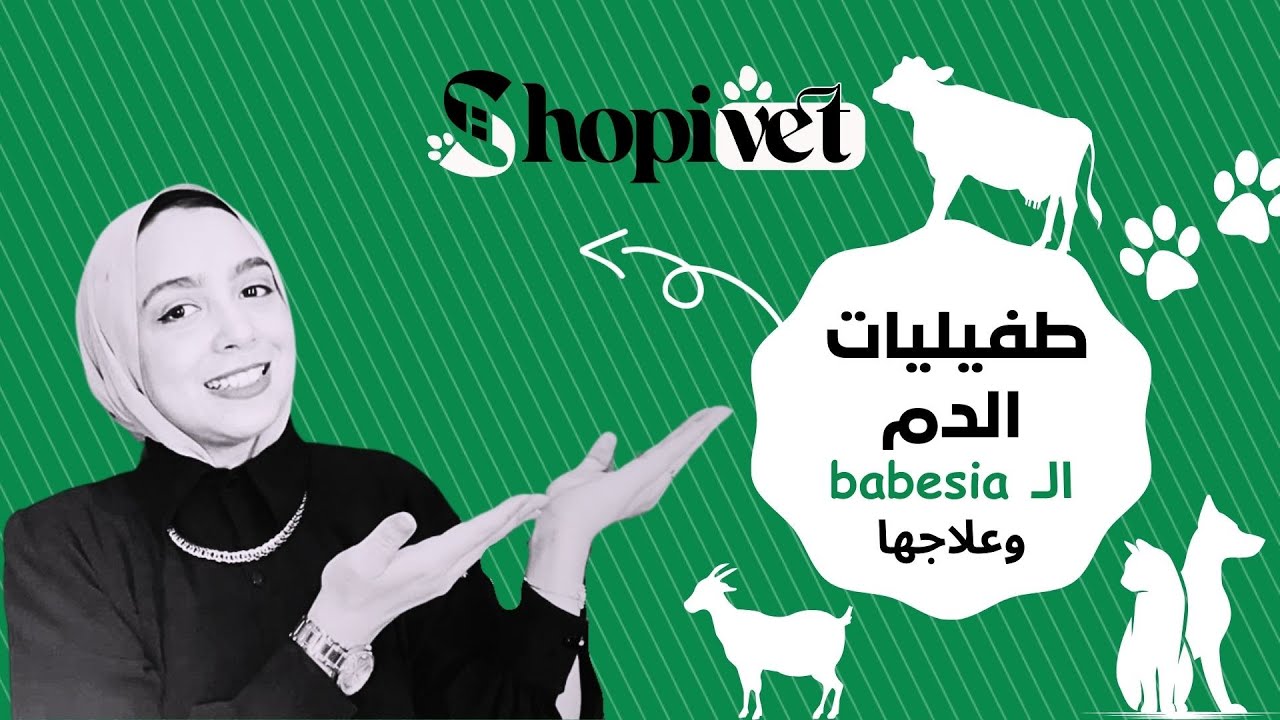 طفيليات الدم  الـ babesia  وطرق الوقاية وعلاجها بشكل نهائي | برنامج أفضل الأدوية