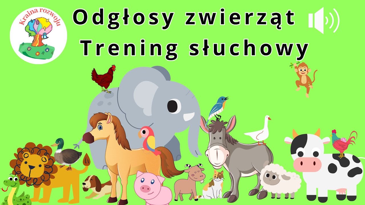 Trening słuchowy - odgłosy, dźwięki zwierząt domowych i egzotycznych