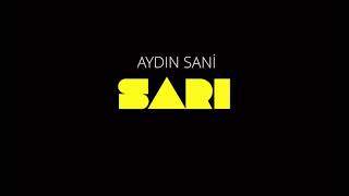 Aydın Sani - SARI Resimi