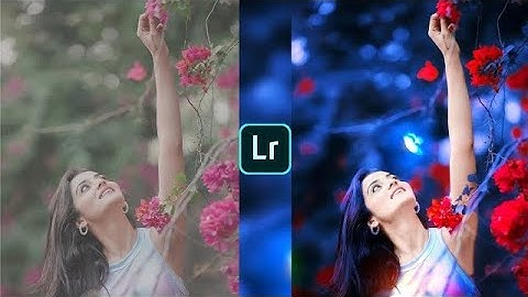 Lightroom soft blue butterfly photo editing tutorial | lightroom background colour change preset