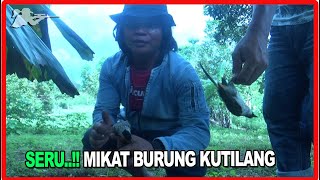 MIKAT KUTILANG DI BELAKANG RUMAH ~ MEMIKAT KUTILANG