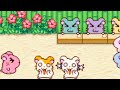 Hamtaro Ham Ham Heartbreak Walkthrough Part 7 Sandy Bay 3 3