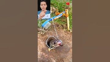 đặc bẫy rắn độc lạ bằng cái bàn chải đánh răng cả nhà ơi