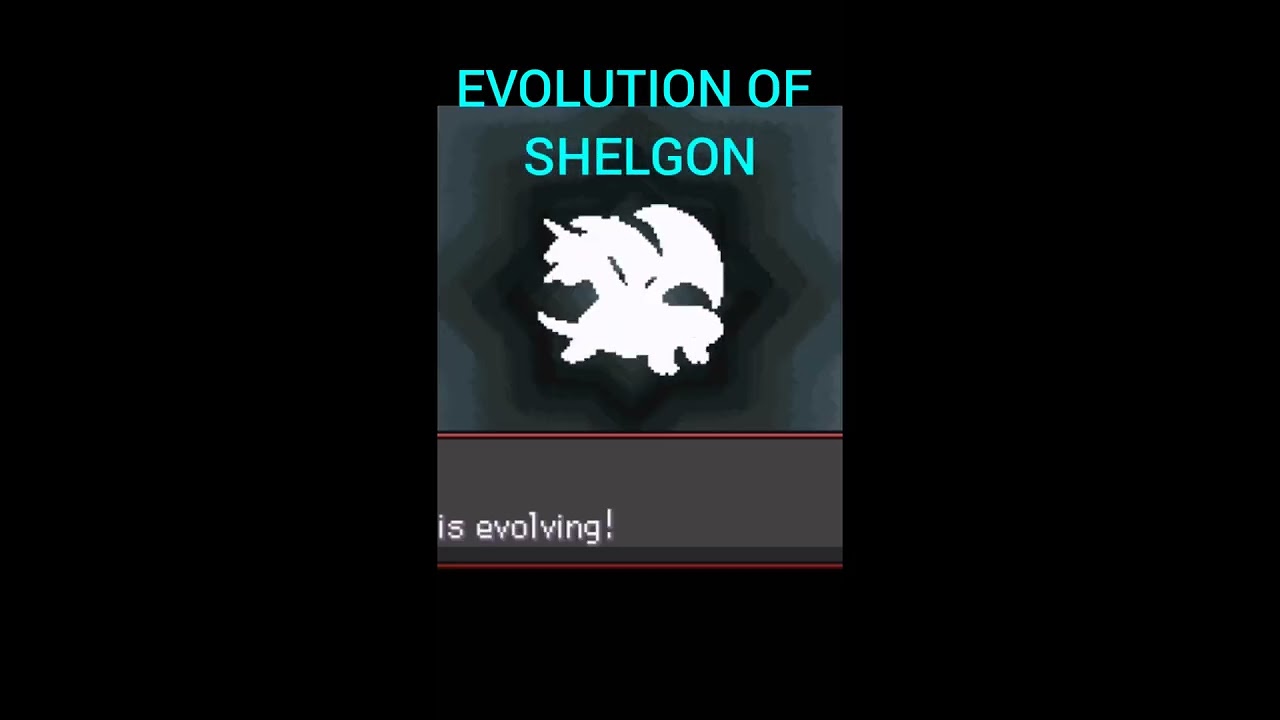 Evolution of Shelgon || 