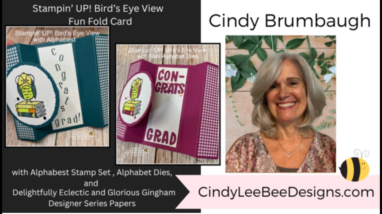 Stampin' UP! Birds Eye View Fun Fold