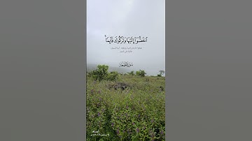 تلاوة جميلة للشيخ ياسر الدوسري