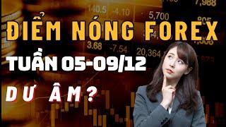 Điểm Nóng Forex Tuần 05-09/12 ✅ - Dư Âm? | TraderViet