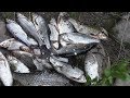 Рыбалка 2018 / Летняя рыбалка / Пробный выезд на рыбалку и открытие сезона жидкой воды / Плотва