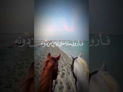 هذا خلق الله سبحانه وتعالى القرآن الكريم تلاوة مؤثرة اكسبلور