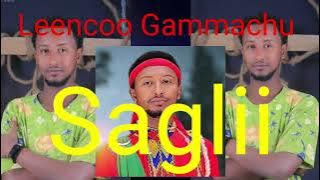 Leencoo Gammachuu:- saglii subscribe, like & share