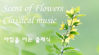 Scent of fiowers classical music(힐링음악-아침을 여는 클래식)