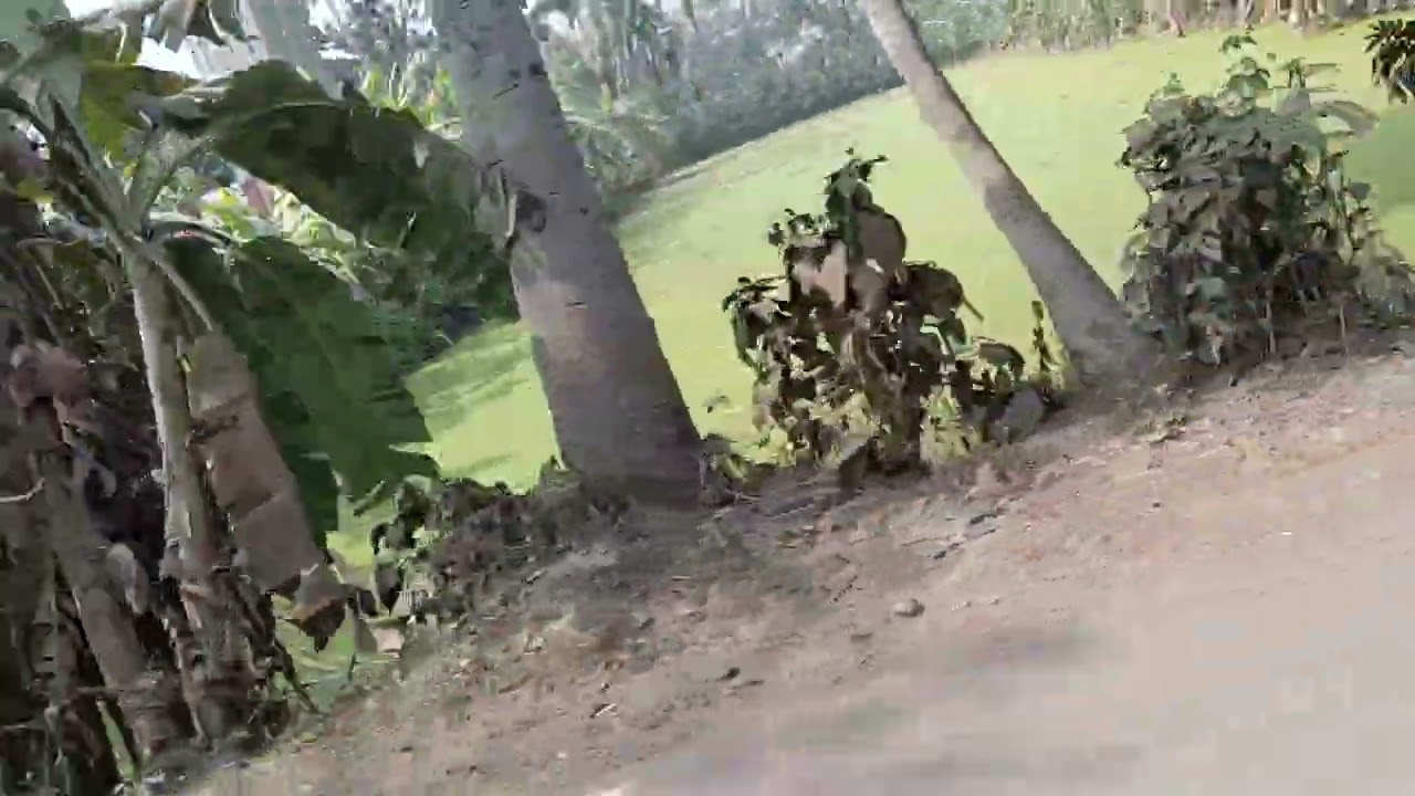 Ami ek jagah ghumne gachi lamo 🏙️🌇🌆🌃