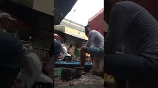 peesona Zaky praja