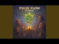 Pulse Flow