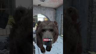 DayZ Tips and Tricks number 151 #official #gaming #tutorial #trip